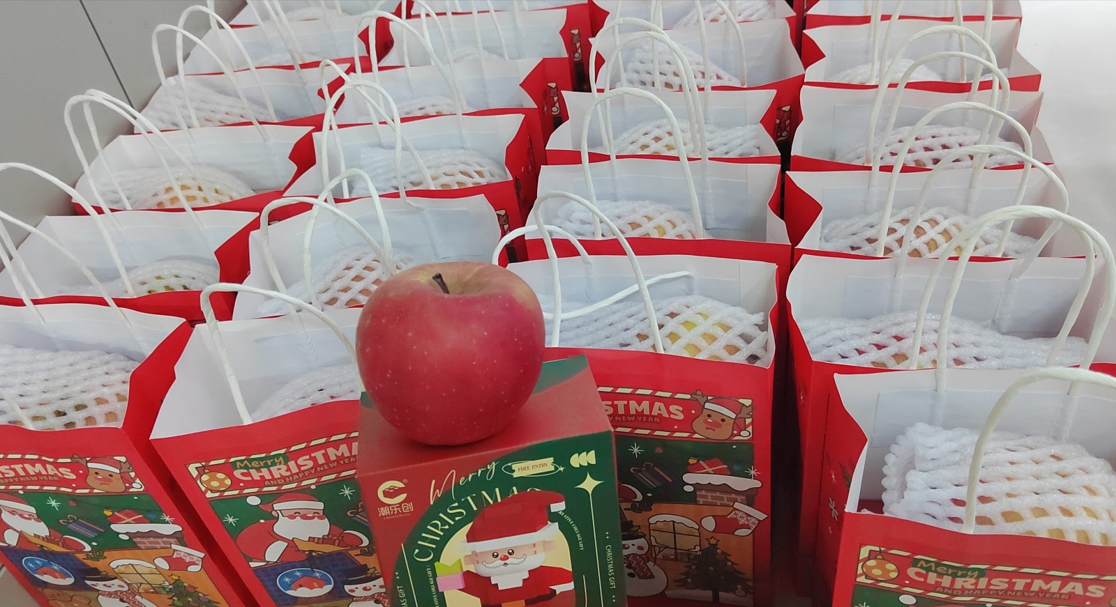 1770973503297866.jpg 1770973503297866.jpg